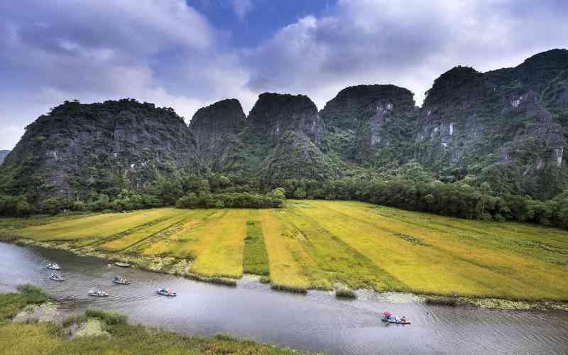 冲泡生普洱茶的正确方法 如何冲泡生普洱茶