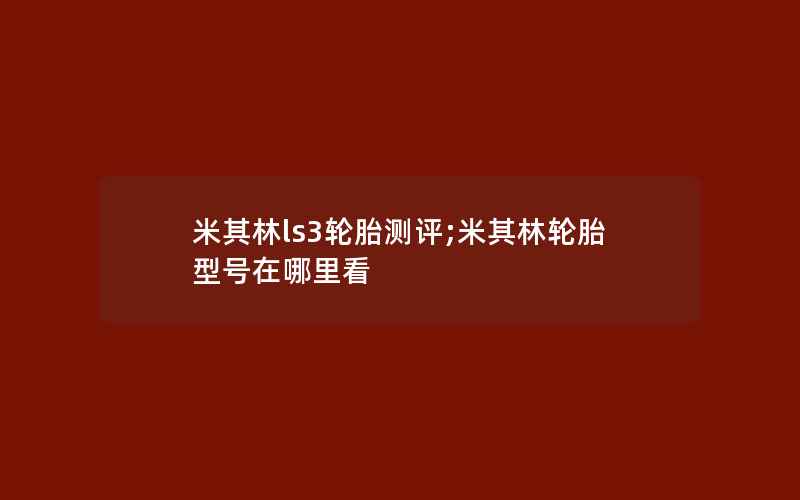 米其林ls3轮胎测评;米其林轮胎型号在哪里看