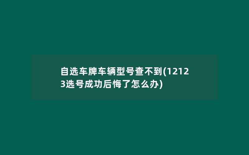 自选车牌车辆型号查不到(12123选号成功后悔了怎么办)