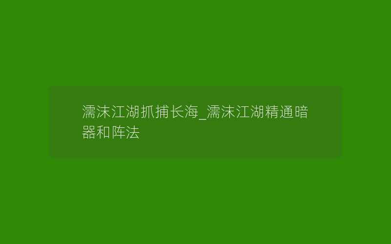 濡沫江湖抓捕长海_濡沫江湖精通暗器和阵法