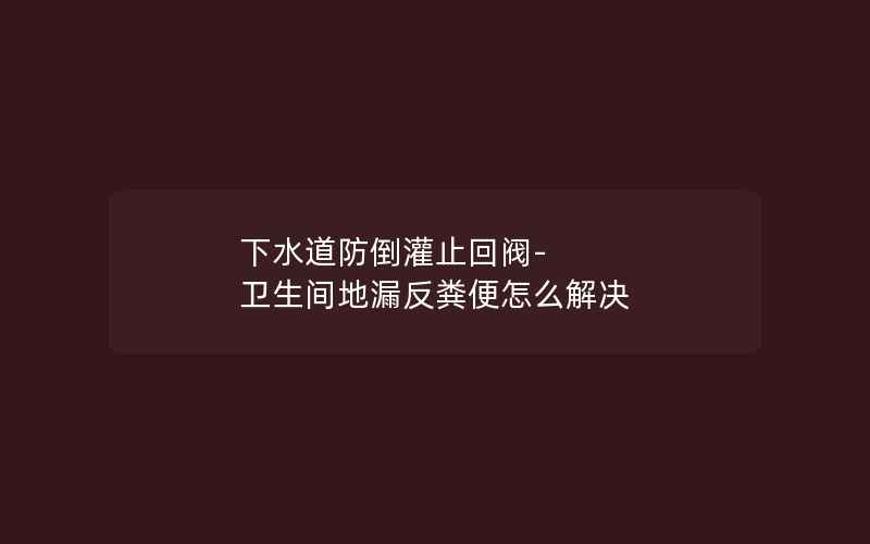 下水道防倒灌止回阀-卫生间地漏反粪便怎么解决