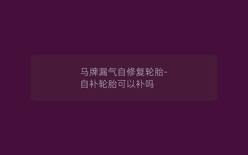 马牌漏气自修复轮胎-自补轮胎可以补吗