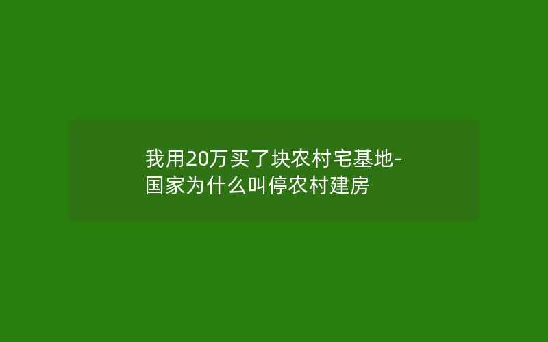 我用20万买了块农村宅基地-国家为什么叫停农村建房