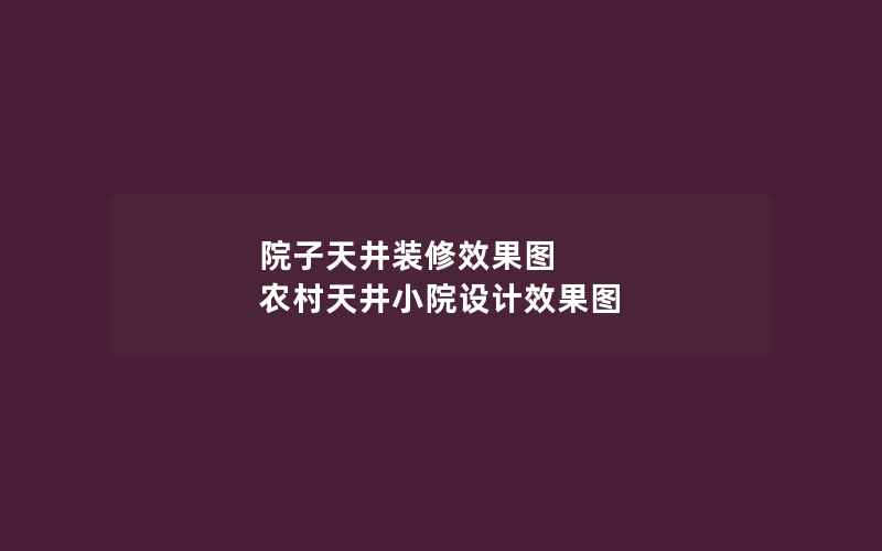 院子天井装修效果图 农村天井小院设计效果图