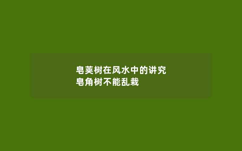 皂荚树在风水中的讲究 皂角树不能乱栽