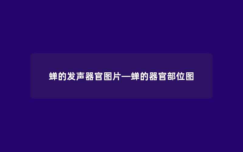 蝉的发声器官图片—蝉的器官部位图