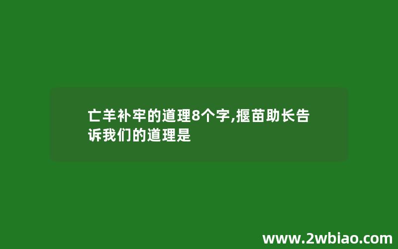 亡羊补牢的道理8个字,揠苗助长告诉我们的道理是