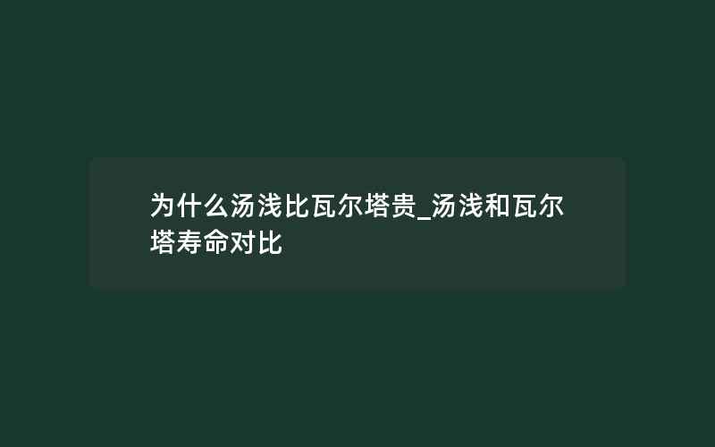 为什么汤浅比瓦尔塔贵_汤浅和瓦尔塔寿命对比