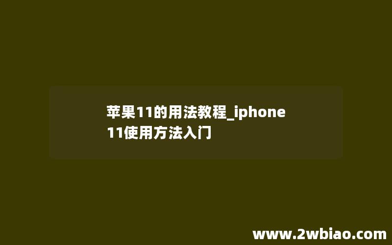 苹果11的用法教程_iphone11使用方法入门