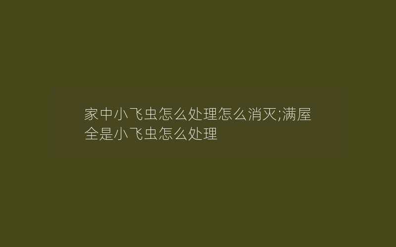 家中小飞虫怎么处理怎么消灭;满屋全是小飞虫怎么处理