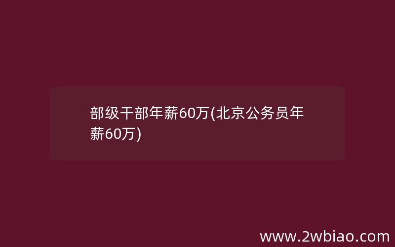 部级干部年薪60万(北京公务员年薪60万)