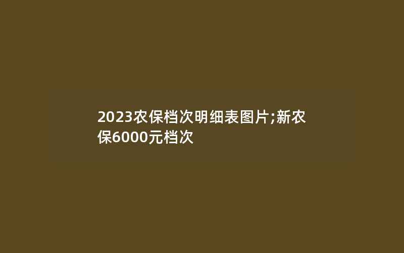 2023农保档次明细表图片;新农保6000元档次