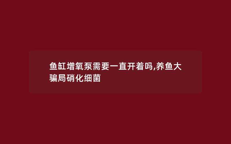 鱼缸增氧泵需要一直开着吗,养鱼大骗局硝化细菌