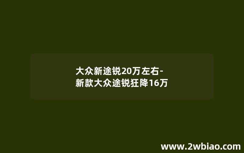 大众新途锐20万左右-新款大众途锐狂降16万