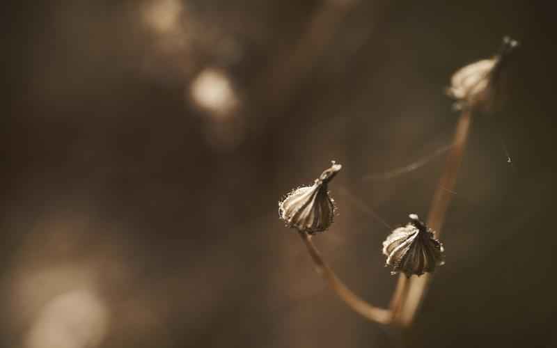 王者荣耀金钱怎么计算—王者荣耀50000积分是多少钱